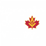 TDV_Logo-White